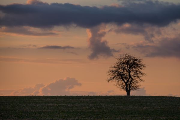 sunlight,landscape,sunset,hill,nature,sky