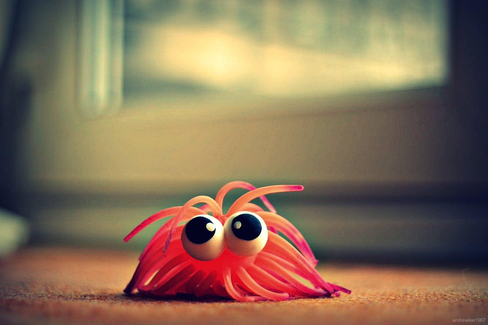 oči, guma, koberec, rozmačkaný, měkký, ef50mmf18, canon50d, andrewlee1967, strašidelný, malíček, patro, podlaha, dno, 50mm, mywinners, andrewlee