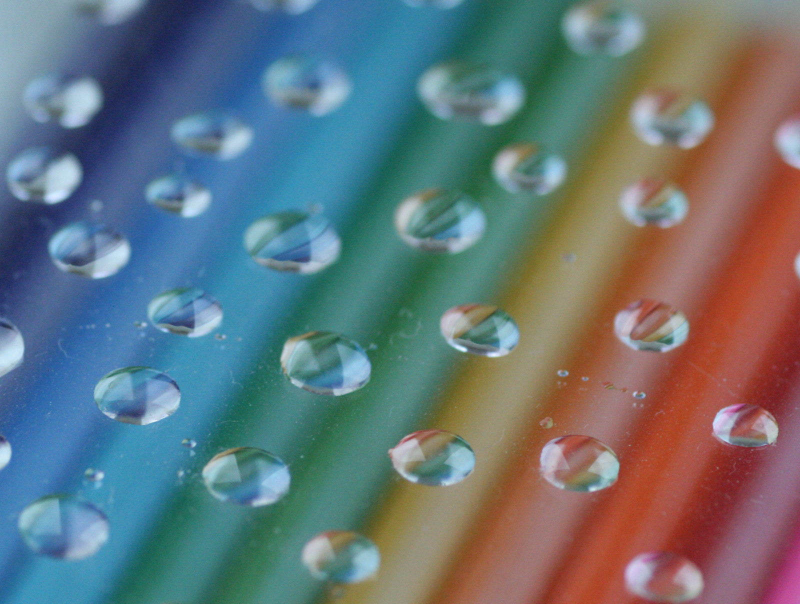 acqua, verde, rugiada, far cadere, fotografia macro, avvicinamento, umidità