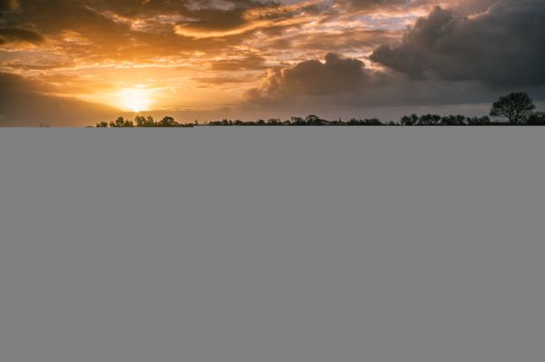 water,nature,sunlight,sunset,reflection,grass