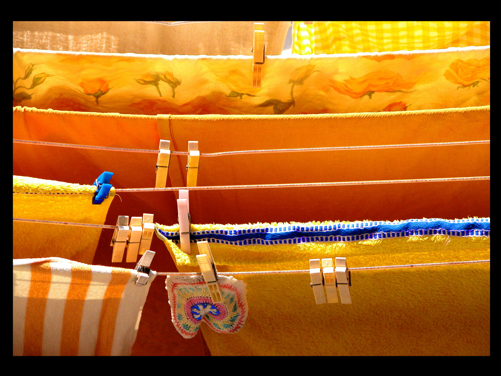 노랑, 사랑하는 사람, aplusphoto, 색채가없는, alwayscomment5, 화려한