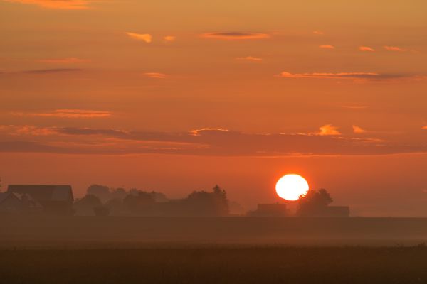 morning, sky, cloud, Sun, mist, Sol