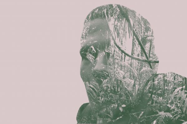 tropical forest,3696x2448 px,double exposure,long exposure,Nikon