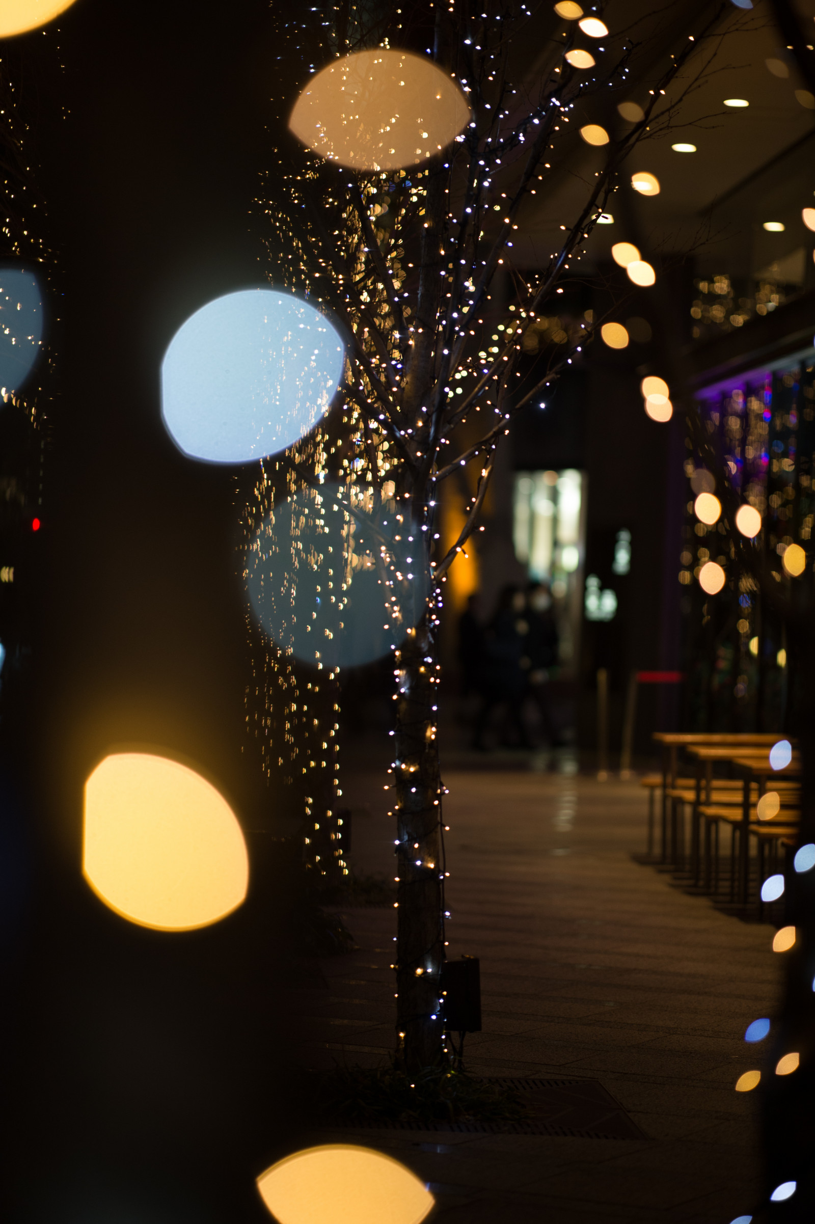 ญี่ปุ่น, กลางคืน, การสะท้อน, วงกลม, Nikon, คริสต์มาส, ไฟคริสต์มาส, โตเกียว, Jp, เบา, สี, nikkor, แสง, ออกแบบ, afs105mmf14eed, afsnikkor105mmf14eed, Df, ตกแต่ง, ตกแต่งคริสต์มาส, โคมไฟ