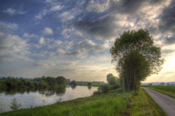 sunlight, trees, landscape, lake, water, nature