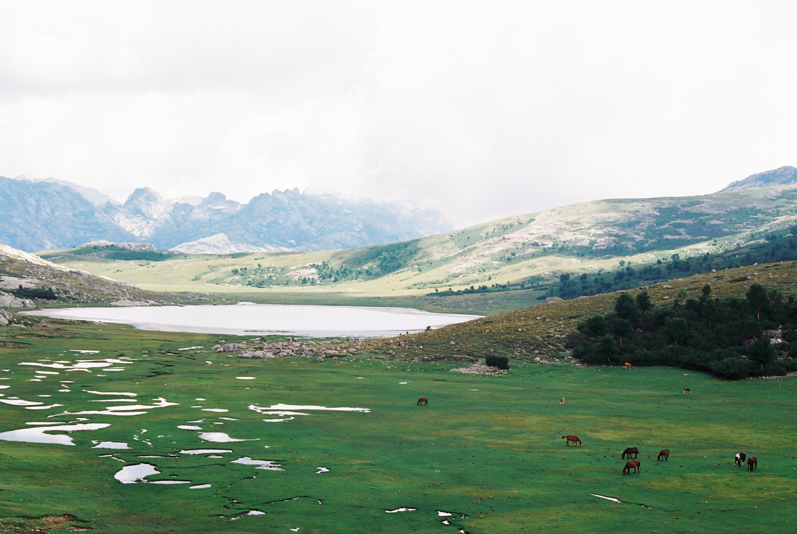 krajina, les, kopec, jezero, voda, Příroda, kůň, tráva, nebe, sníh, zima, Cestovní ruch, zelená, řeka, Kánon, národní park, letní, údolí, Dovolená, Alpy, banka, 35MM, mount scenérie, Korsika, tundra, plošina, Lake District, step, mrak, strom, zvíře, cestovat, hora, lučina, divoký, přírodní, analogový, pastvina, film, výlet, louka, corse, prostý, nádrž, pleso, vysočina, jezero, venkov, horských reliéf, ekosystém, pohoří, stanice hill, klesl, 1000N, ekoregion, vodní zdroje, Lacdenino