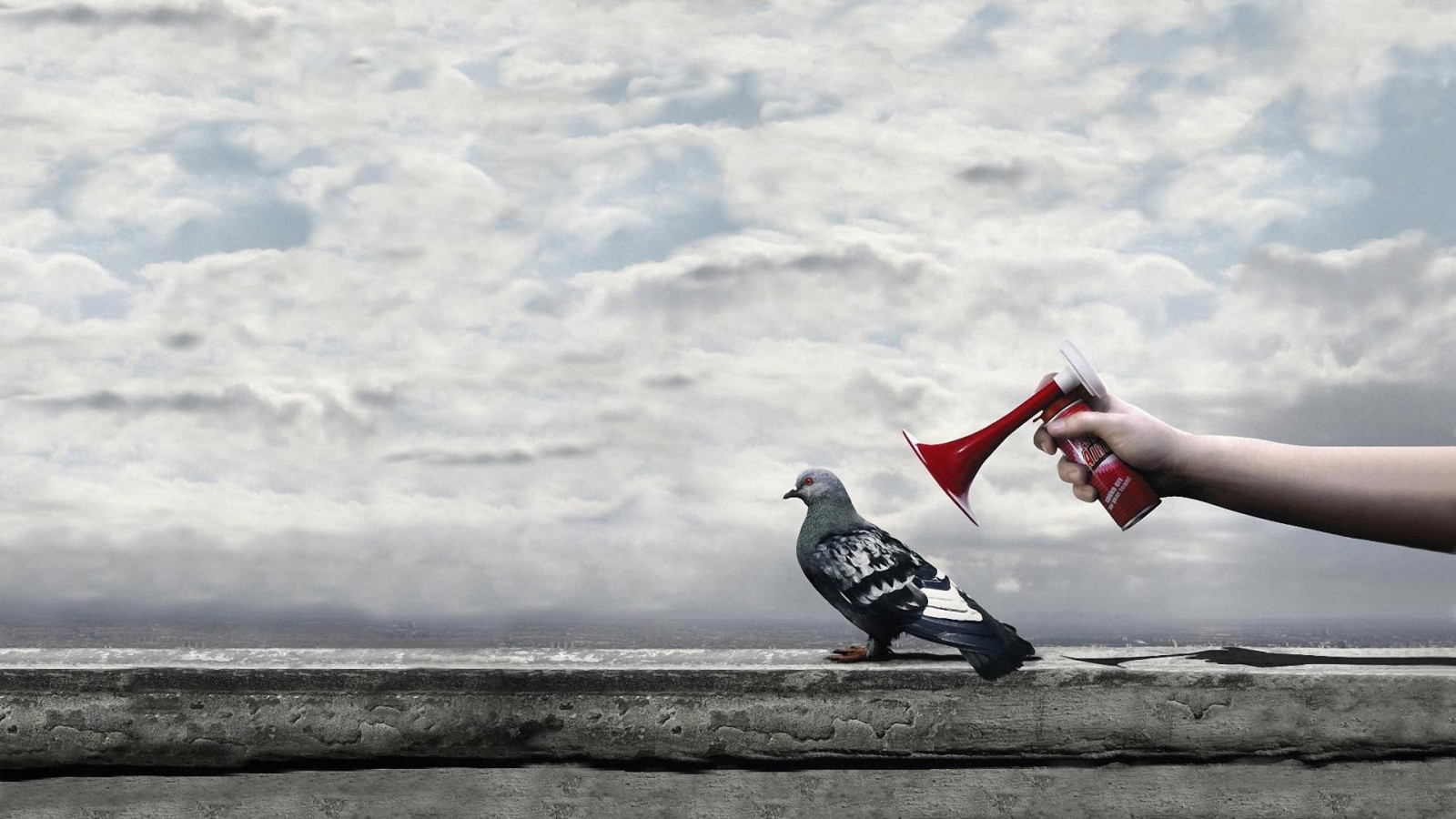 sportovní, bílý, moře, sníh, vítr, holubi, vlna, extrémní sport