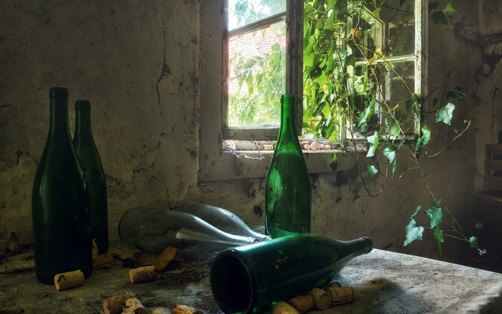 Wallpaper window, bottles, water, room, ruin, plants, green, tree