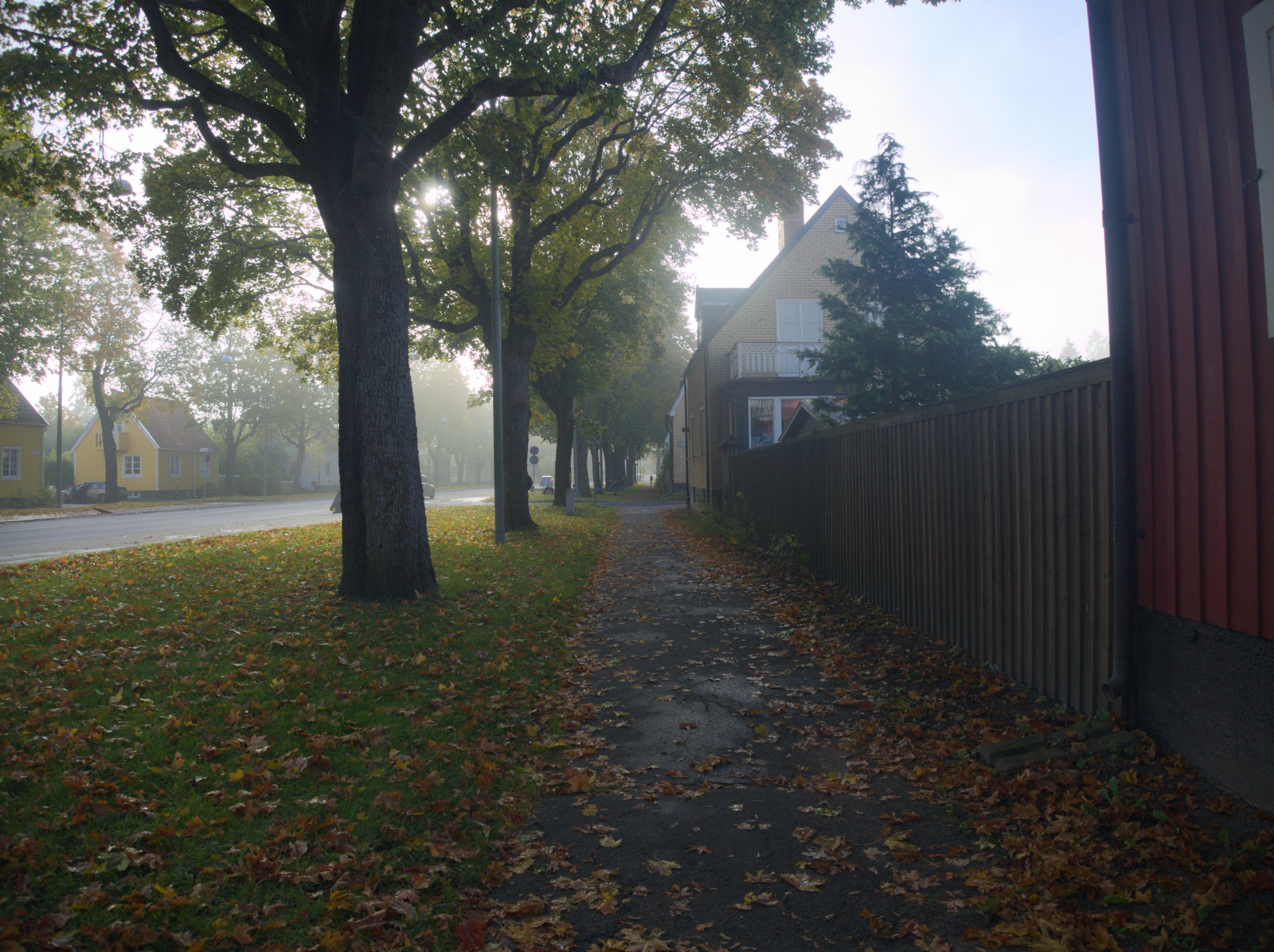luce del sole, paesaggio, architettura, natura, erba, cielo, parco, ombra, strada, ramo, casa, sera, mattina, nebbia, Stoccolma, Svezia, sentiero, passerella, asfalto, Sverige, tenuta, albero, nebbioso, autunno, nebbia, foglia, pianta, Dimma, Morgon, olympusomdem5, corsia, pianta legnosa, Zona residenziale, struttura esterna, manto stradale, K rrtorp, Gamlatyres v gen