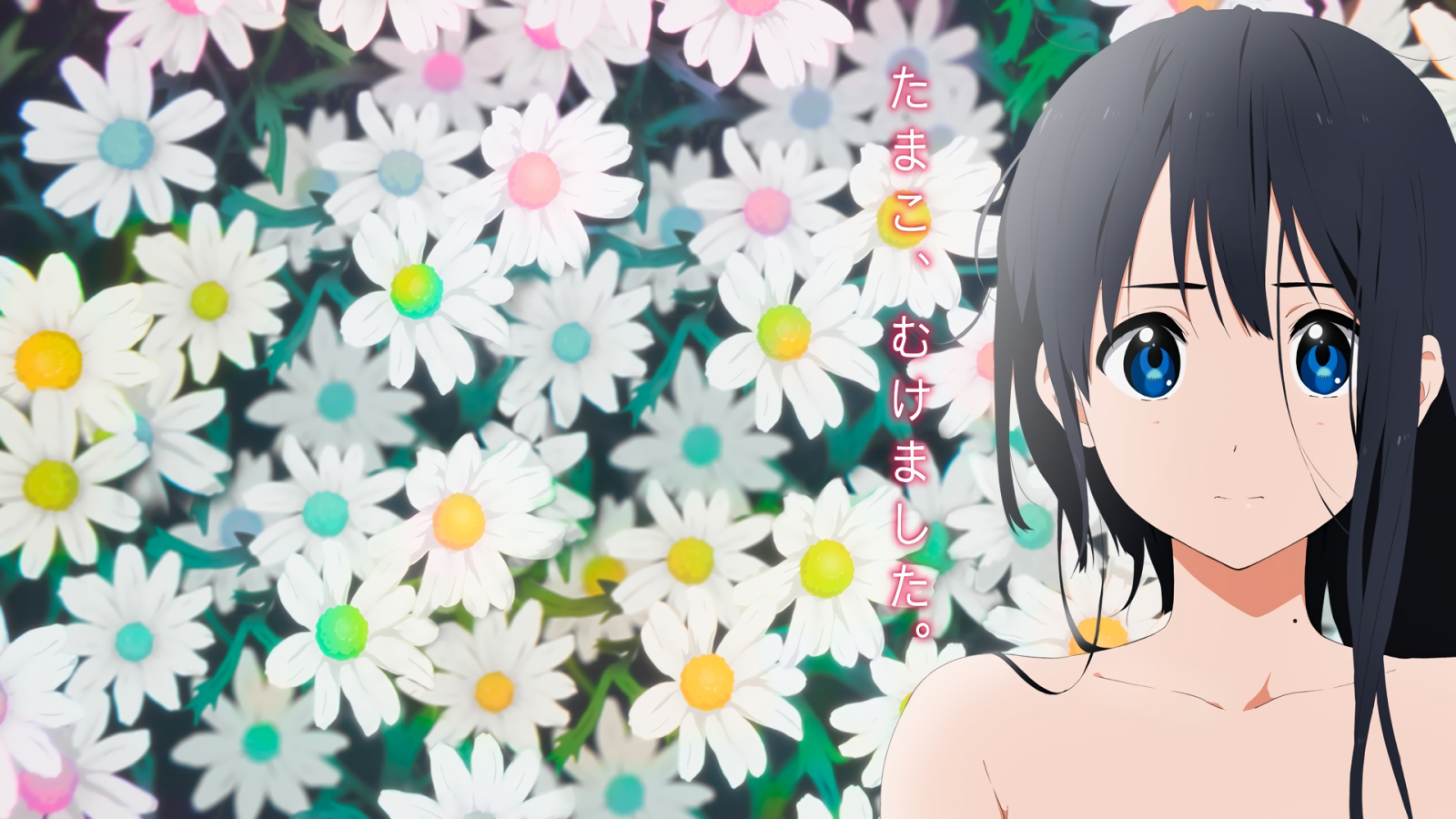 illustration, anime, Anime piger, mønster, Tamako marked, Kitashirakawa Tamako, blomst, mangaka