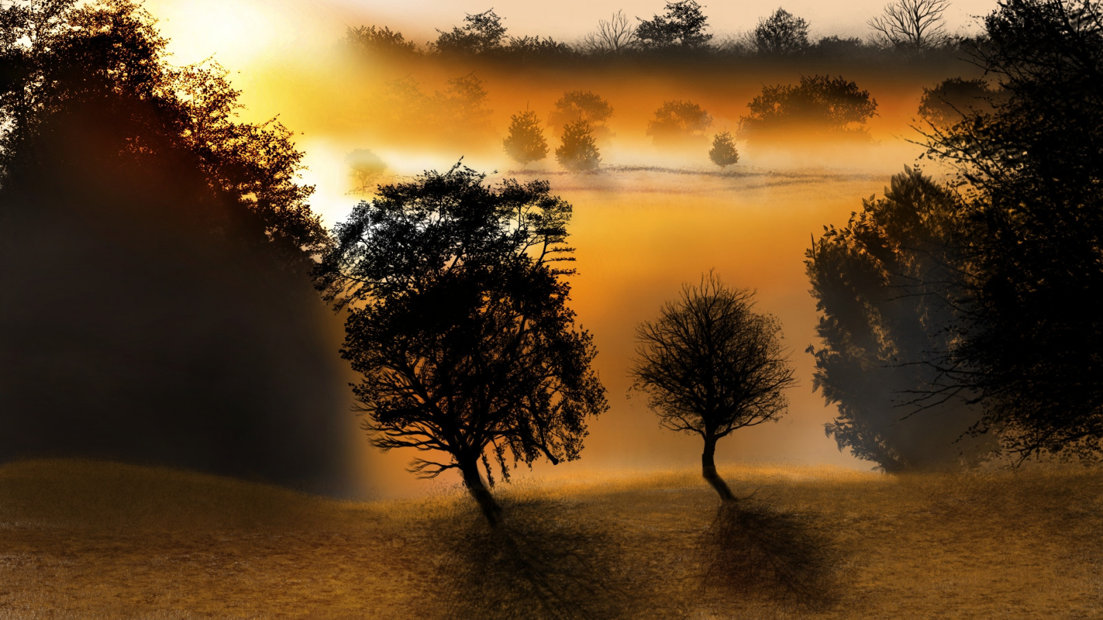 atmosphère, Écorégion, nuage, arbre, la nature, Rétablissement, Natural landscape, feuille, environnement naturel, People in nature, branche, Orange, brouillard, bois, crépuscule, lumière du soleil, lever du soleil, végétation, Biome, le coucher du soleil, Phénomène atmosphérique, ciel, horizon, Ciel rouge le matin, paysage, Plante boisée, chaleur, Matin, brindille, prairie, herbe, Tints and shades, ART, forêt, brouillard, Soleil, calme, brume, Aube, La peinture, faune, région sauvage, soir, hiver, réflexion, stock photography, tronc, colline, Rétroéclairage, illustration, savane, Tropiques, des bois, visual arts, tropical and subtropical coniferous forests, ombre
