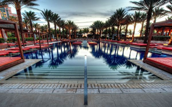palmbomen,hemel,zwembad,reflectie