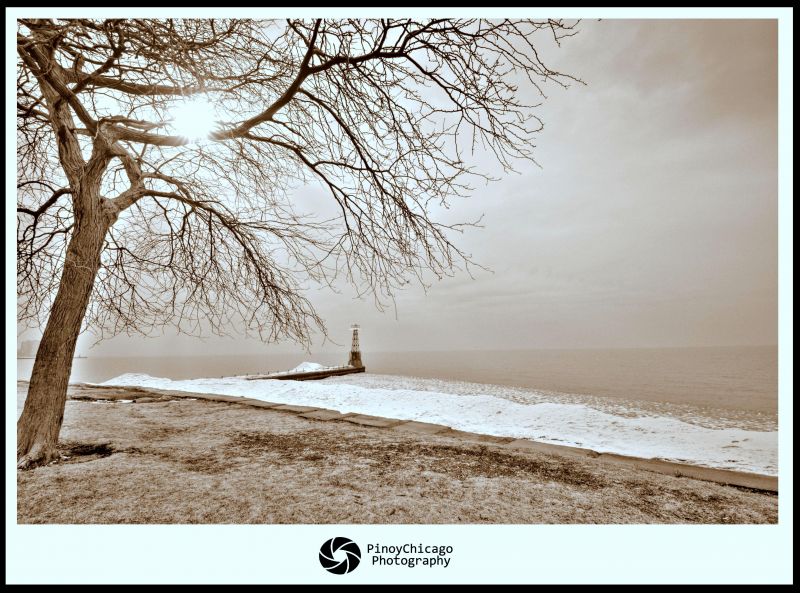 nebe, strom, fotografování, zima, zmrazení, ráno