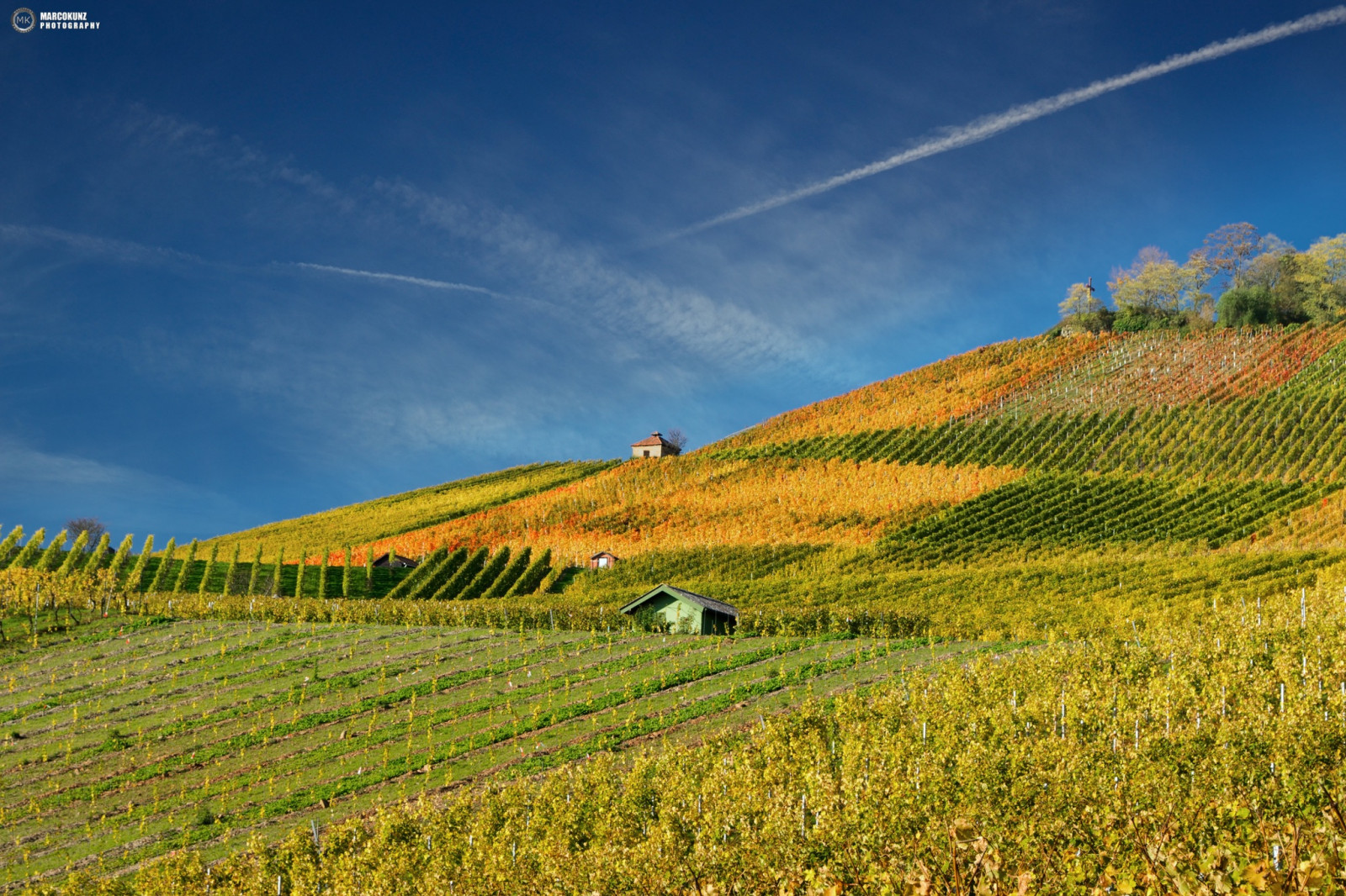 modrý, yardů, nebe, Příroda, žlutý, víno, clous