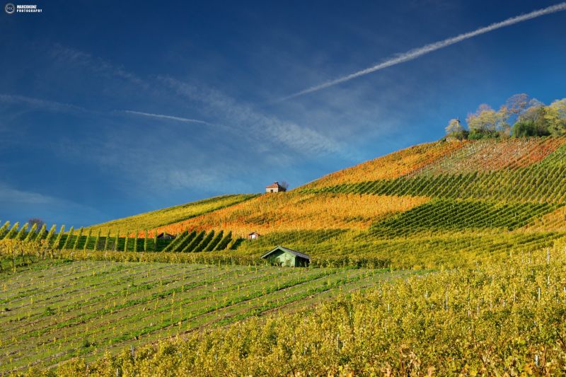 nebe,modrý,yardů,Příroda,žlutý,víno