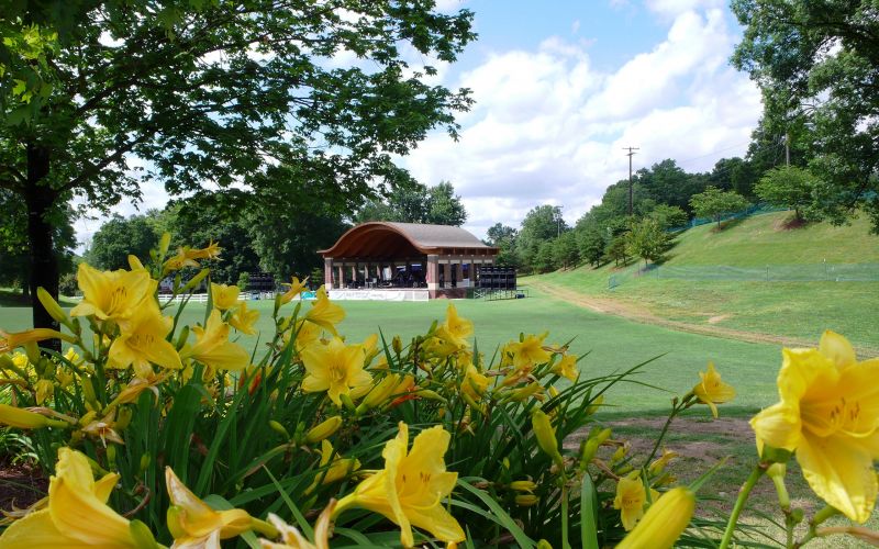 flori,iarbă,floare,clădire