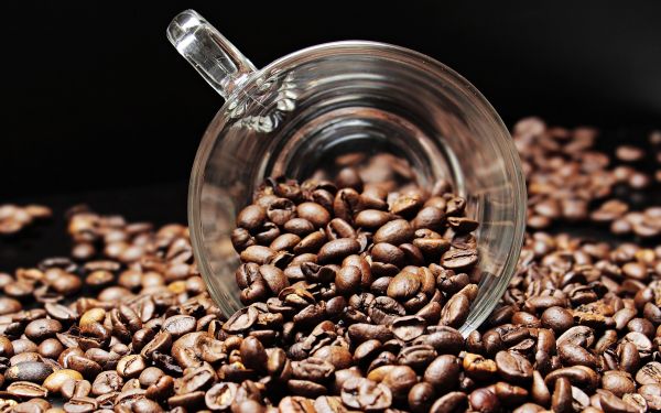 coffee beans,cup,fried