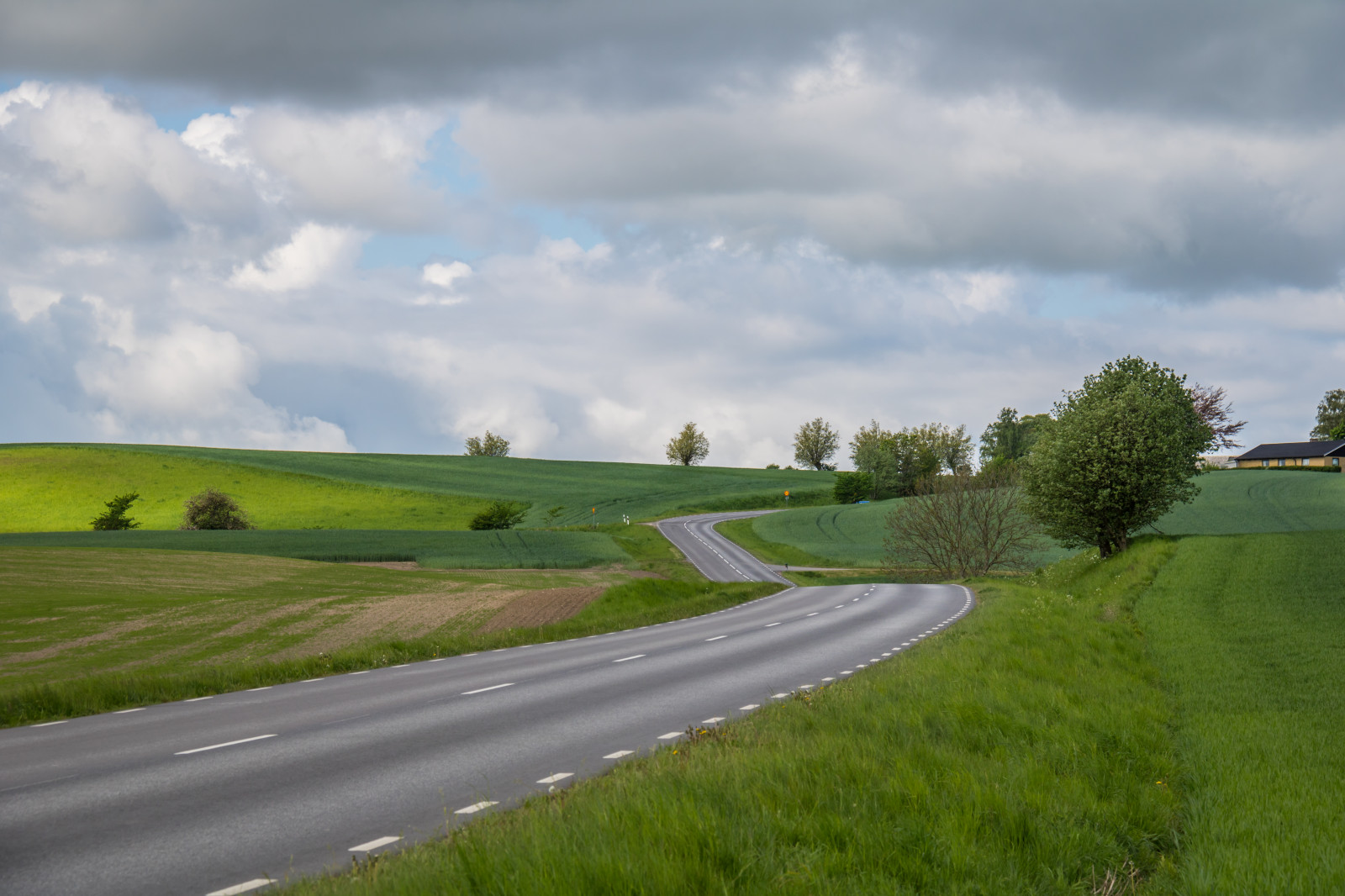 landskab, bakke, græs, himmel, Mark, vej, grøn, horisont, hovedvej, struktur, infrastruktur, golfbane, Sky, træ, græsarealer, landskabet, landsbygd, v g, f lt, landskap, eng, almindeligt, græsplæne, prærie, landdistrikt, sport mødested, racerbane