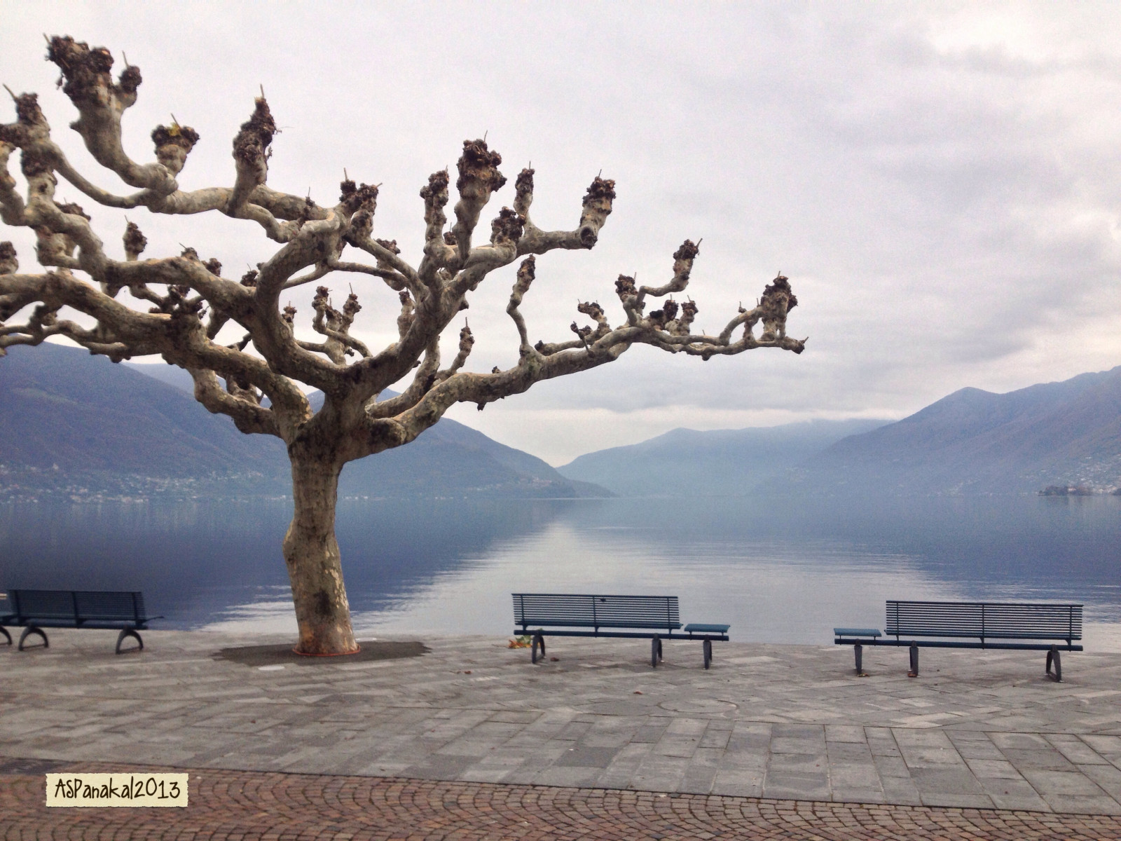 lago, schweiz, Svizzera, Tessin, ascona, Ticino, svizzera, Lagomaggiore, i phone, caricato da flickrmobile, flickriosapp filtro NoFilter