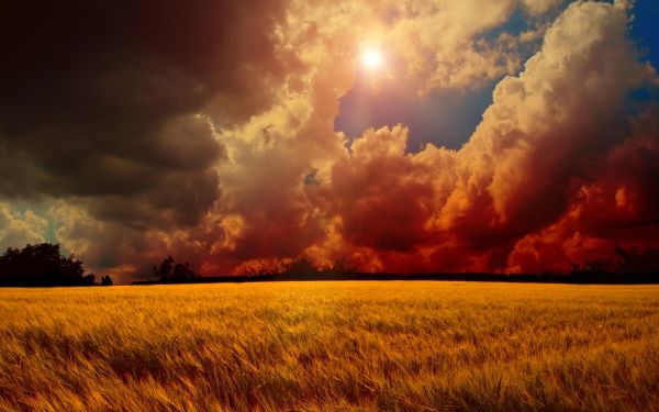 fields,landscapes,nature,1920x1200 px,clouds,grass