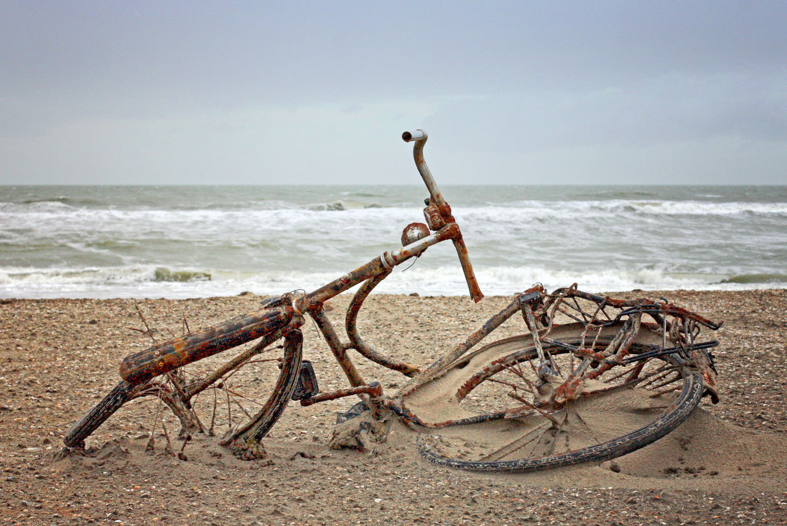 Wallpaper : sea, shore, sand, bicycle, vehicle, beach, wood, coast ...