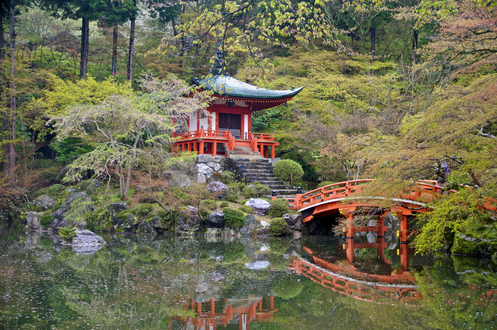 Příroda, rostlina, strom, vegetace, list, voda, stanice hill, odraz, krajina, chrám, volný čas, pagoda, les, národní park, svatyně, Cestovní ruch, plant community