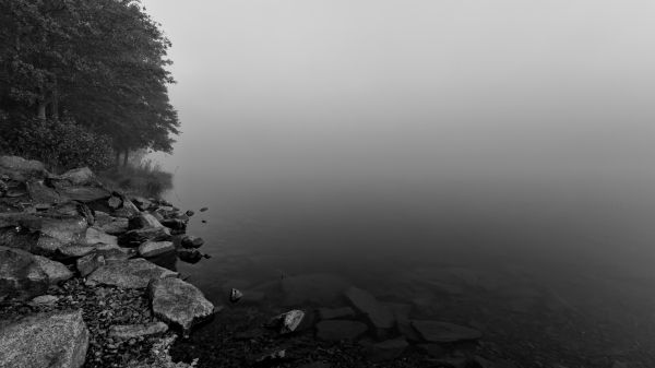 景观,单色,500px,水,岩,湖