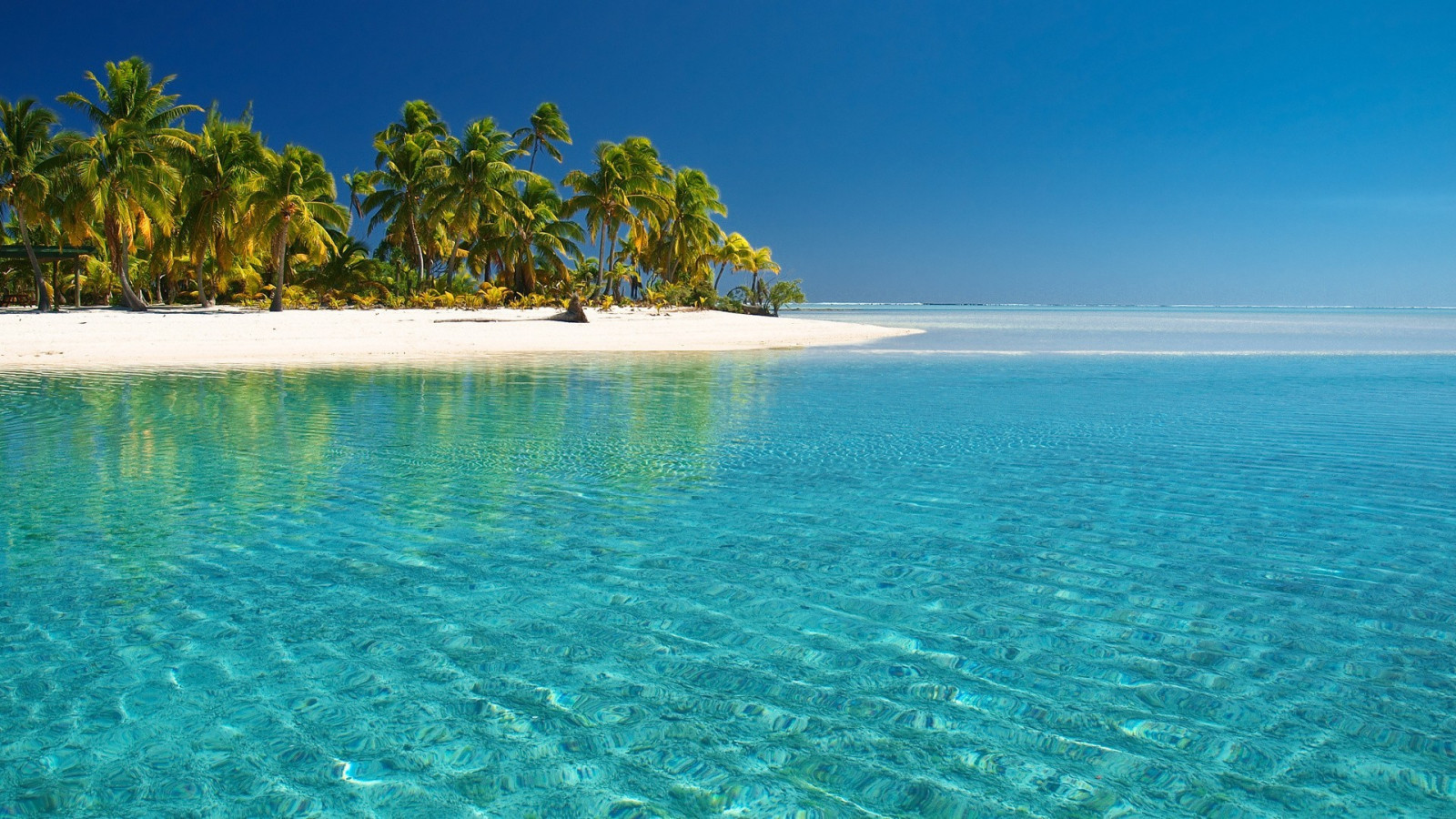 Sfondi Paesaggio Mare Baia Natura Spiaggia Costa Palme Piscina 