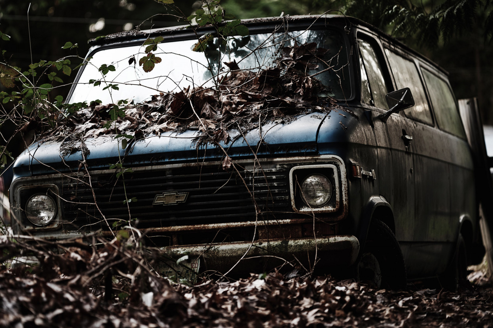 les, listy, starý, auto, opuštěný, vozidlo, rez, Nikon, pneumatika, vinná réva, Chevrolet, dodávka, Chevy, strom, kolo, stáří, Zeiss, 135mm, Sonnar, 8, f2, D800E, letitý, apo, ZF2, automobilového designu, automobilový exteriér, nárazník, rezavění, motorové vozidlo, automotive pneumatiky, off road, světlomet, auto part, captureonepro, zeiss135mmf2, sonnar1352zf, chevyvan, oldchevyvan, automotive wheel system