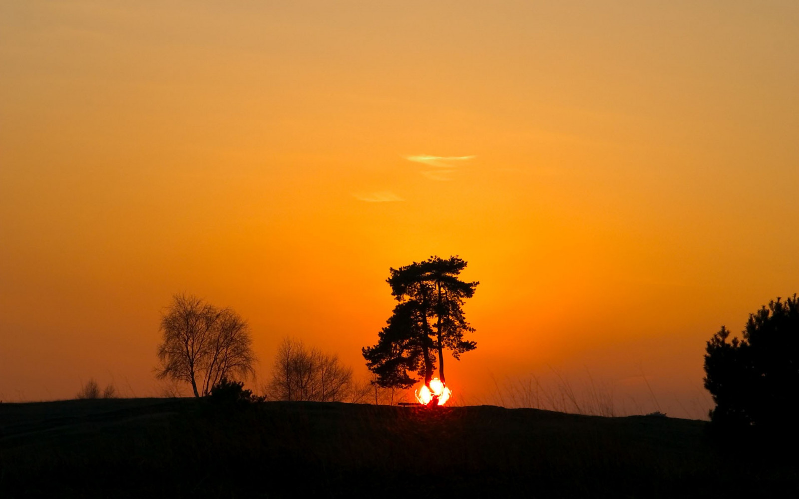Wallpaper sunlight, landscape, sunset, field, sunrise, evening, Sun, horizon, dusk, dawn