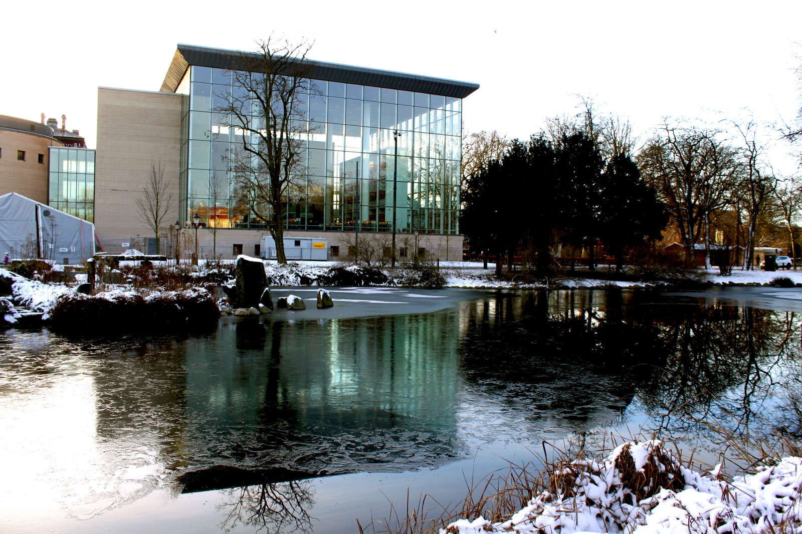 stromy, voda, Příroda, odraz, nebe, sníh, zima, plavecký bazén, knihovna, kašna, světlo, sezóna, odrazy, větve, Malmo, Slottsparken, wnter, vodní, vodní prvek, odrážející bazén