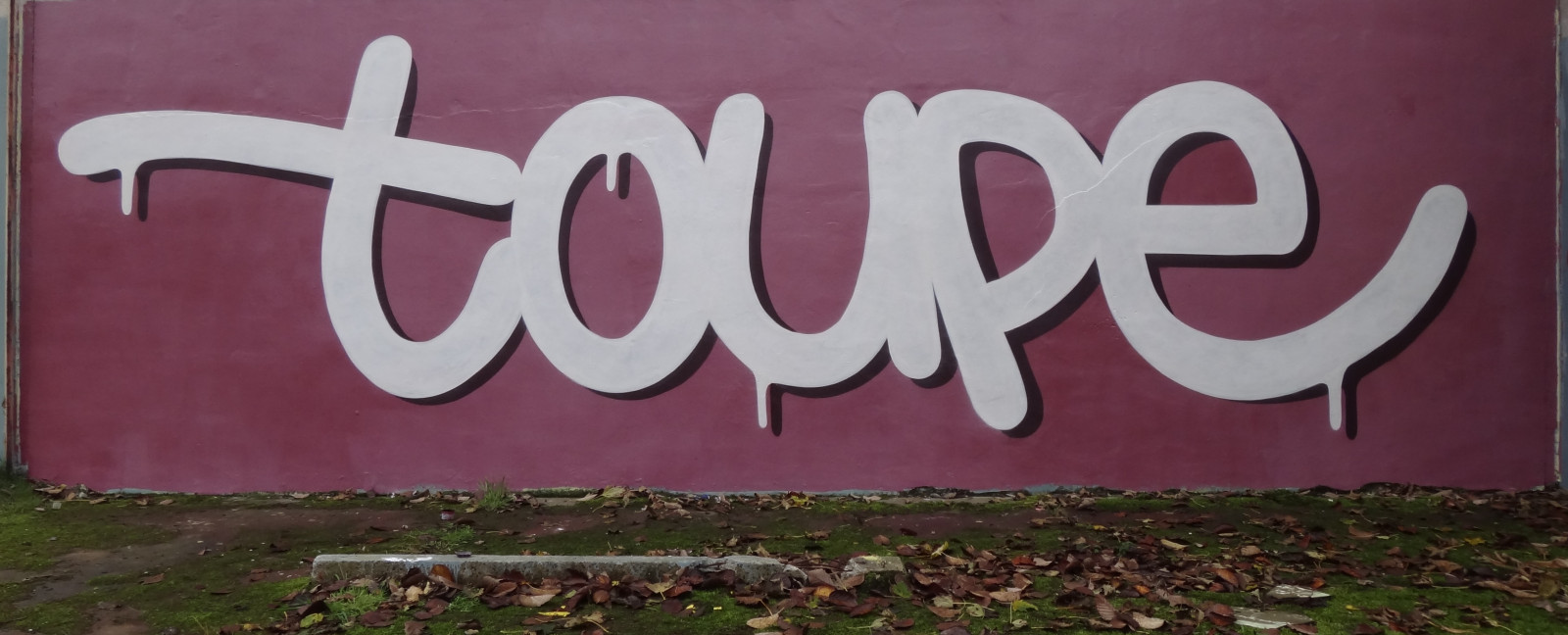 ulice, Spojené království, podzim, městský, pouliční umění, UMĚNÍ, zábava, grafiti, malovat, graf, Graff, jednoduchý, severovýchod, Sunderland, 2013