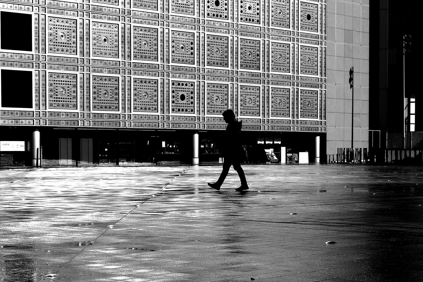 สีขาว, ดำ, ขาวดำ, หน้าต่าง, เมือง, ถนน, สถาปัตยกรรม, น้ำ, อาคาร, การสะท้อน, ท้องฟ้า, เงา, ฤดูหนาว, ผนัง, ฝน, ถนน, การถ่ายภาพ, บ้าน, เปียก, ปารีส, มหานคร, ยางมะตอย, โครงสร้างพื้นฐาน, มุม, เบา, ดำและขาว, ต้นไม้, ผู้หญิง, มุมมองถนน, บรรทัด, รูปถ่าย, femme, noiretblanc, photoderue, ภาพรวม, urbanarte, pluie, ซุ้ม, photopascalcolin, เขตเมือง, ดำและขาว, ถ่ายภาพขาวดำ, ผิวถนน, พื้นที่สาธารณะ, institutdumondearabe, humide