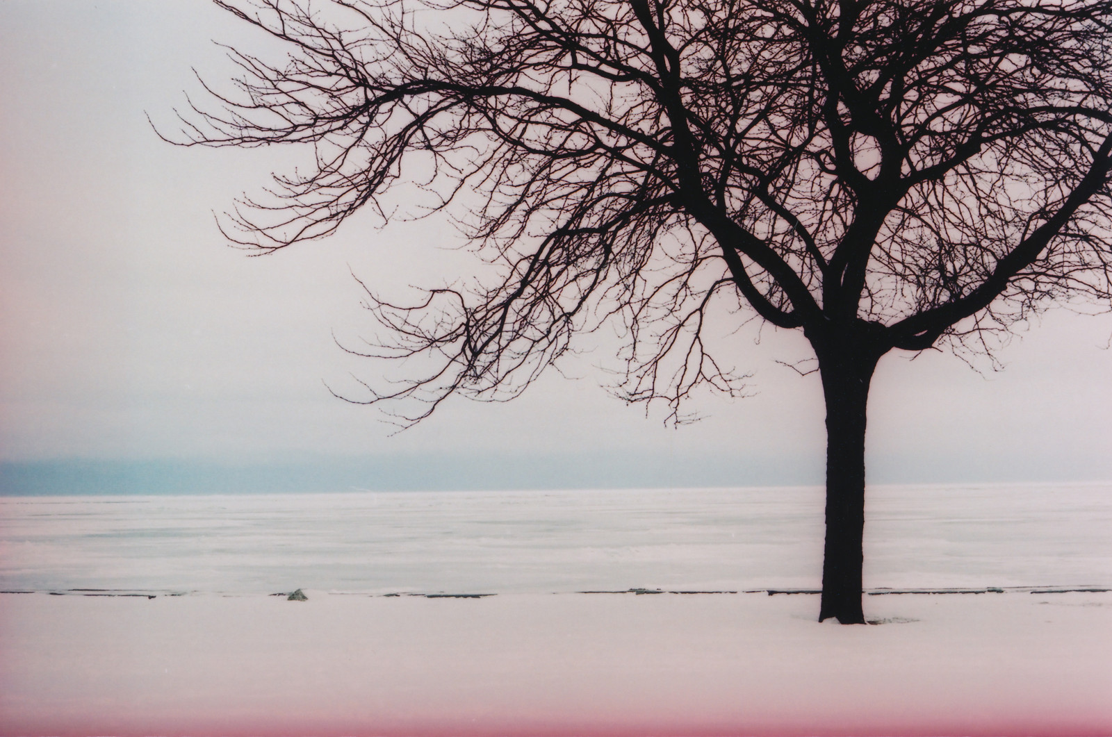 strom, voda, nebe, dřevina, větev, zmrazení, zima, uklidnit, ráno, atmosféra, sníh, mráz, odraz, horizont, svítání, počítač tapeta, svítání, večer, moře, větvička, krajina, stock photography