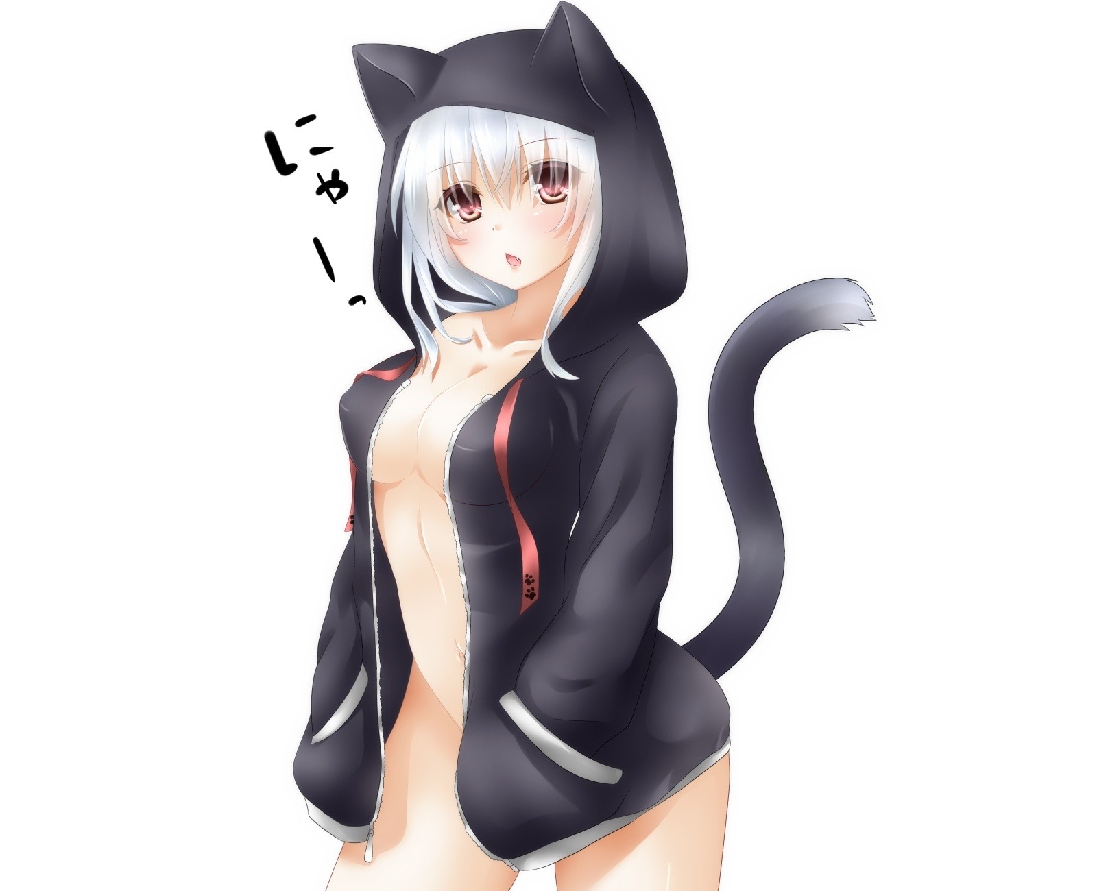 Anime Neko Ecchi Up Shirts Anime Neko Ecchi Up Shirts
