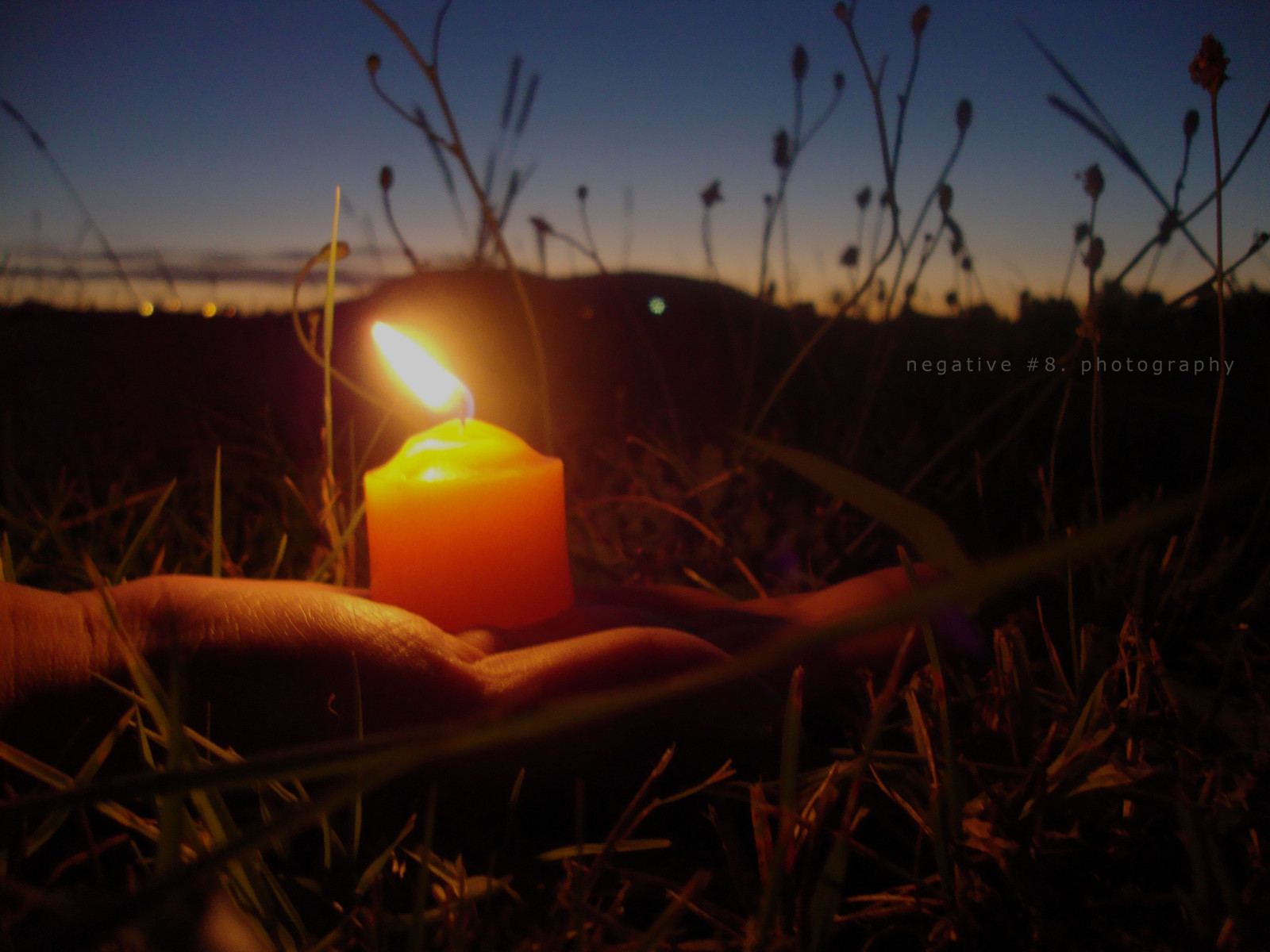 slunečnímu záření, ruce, západ slunce, noc, tráva, nebe, větev, svítání, večer, ráno, slunce, atmosféra, soumrak, světlo, strom, svítání, svíčka, osvětlení, tma, negativeight