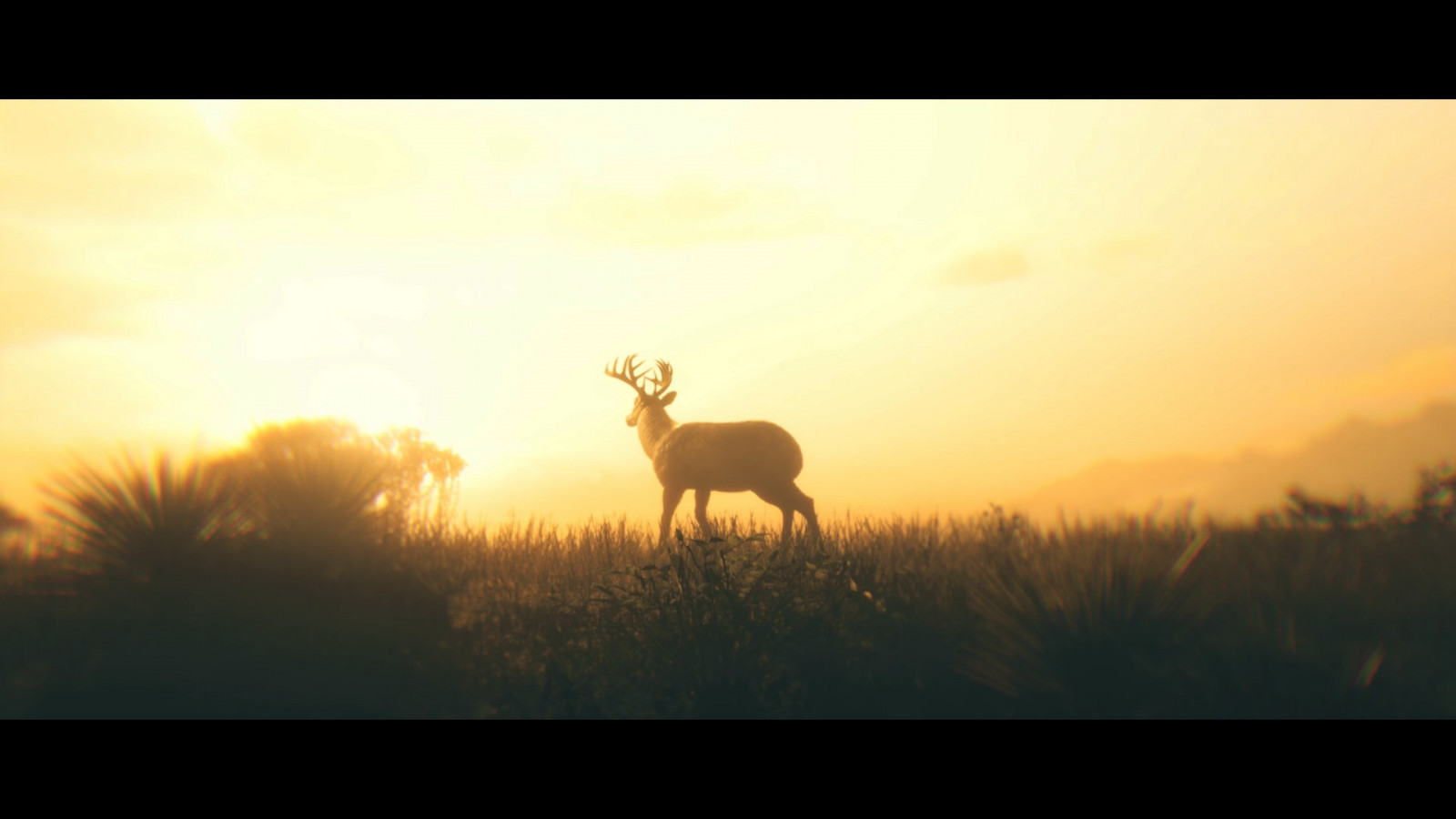 Red Dead Redemption 2, luonto