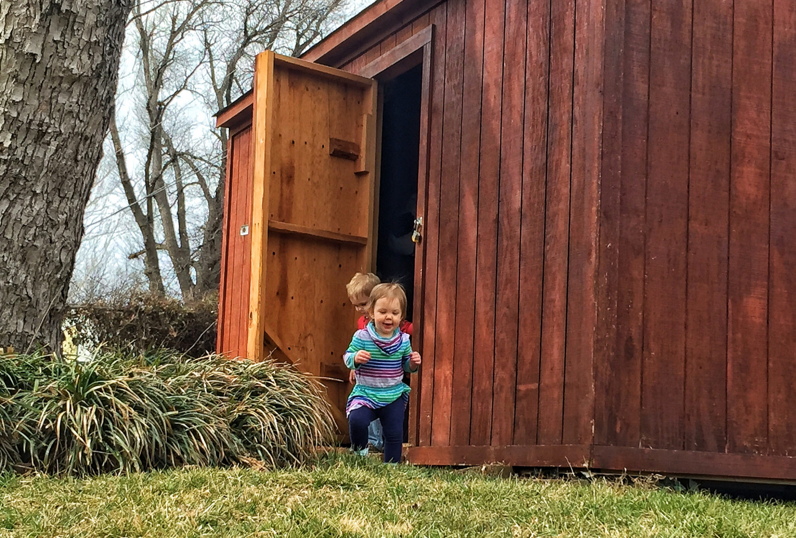 childrenescape, storageshed, zadní dvorek, Vnoučata, zábava, hrát si, domů, Radost, děti, Vnoučata, uniknout, tráva, kadeř