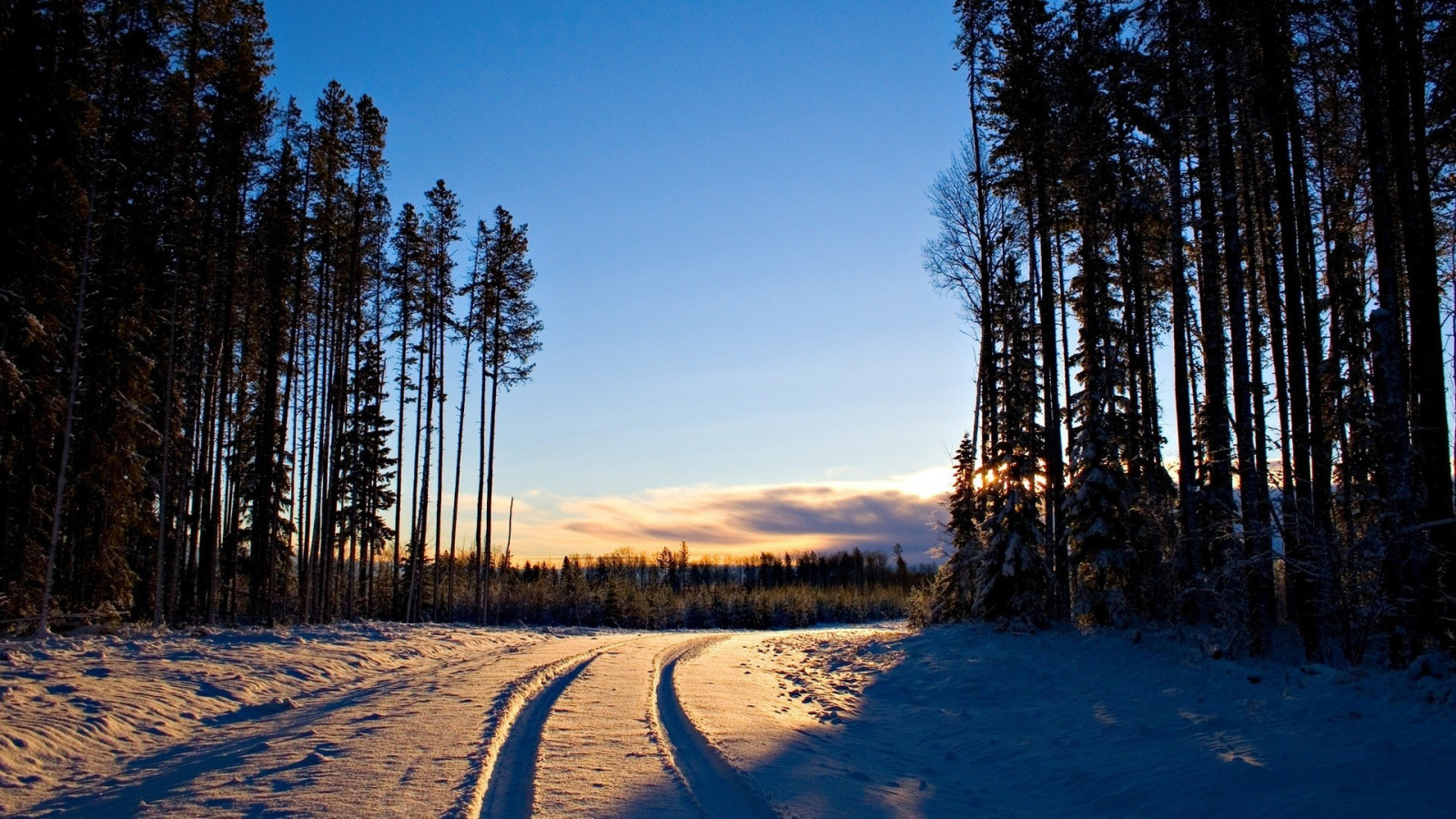 sollys, træer, landskab, Skov, solnedgang, natur, sne, vinter, solopgang, aften, morgen, ødemark, lys, træ, efterår, bjerg, vejr, daggry, plante, sæson, skov, levested, naturligt miljø, atmosfærisk fænomen, vedplante