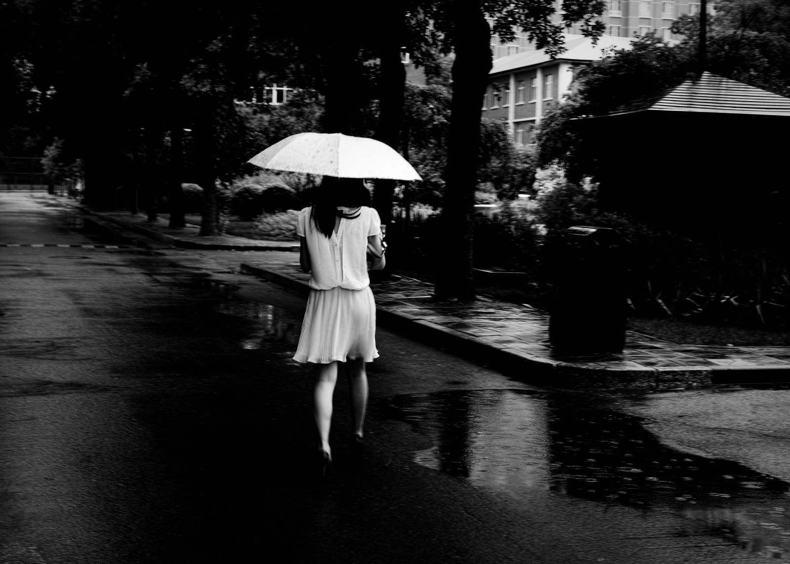 hvid, sort, monokrom, by, gade, afspejling, regn, fotografering, lys, vejr, sæson, bw, dp2m, historie, regnfuld, fotografi, mørke, øjebliksbillede, sort og hvid, monokrom fotografering, film noir