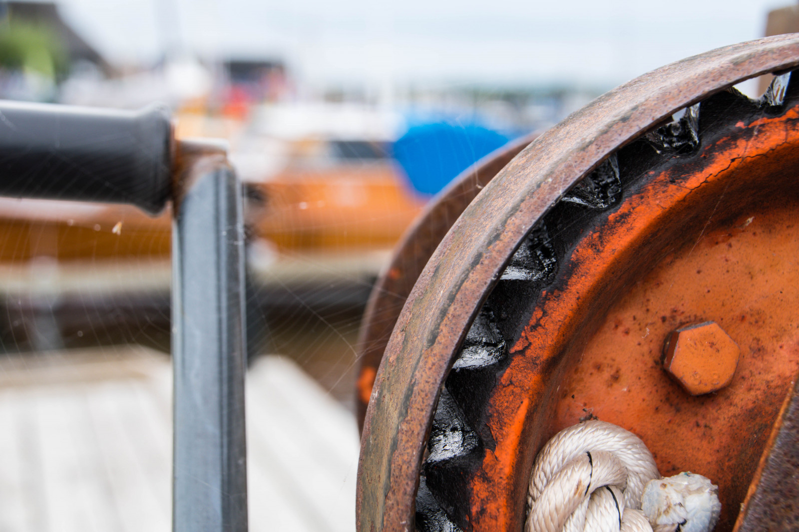 mennesker, køretøj, træ, tæt på, makro, sommer, Sverige, Marina, farve, dybdeskarphed, udendørs, web, edderkoppespind, hjul, dOF, sk nel n, SE, malmø, Limhamn, hamnfestivalenlimhamn, spindeln t, strengeinstrument, menneskeskabte objekt