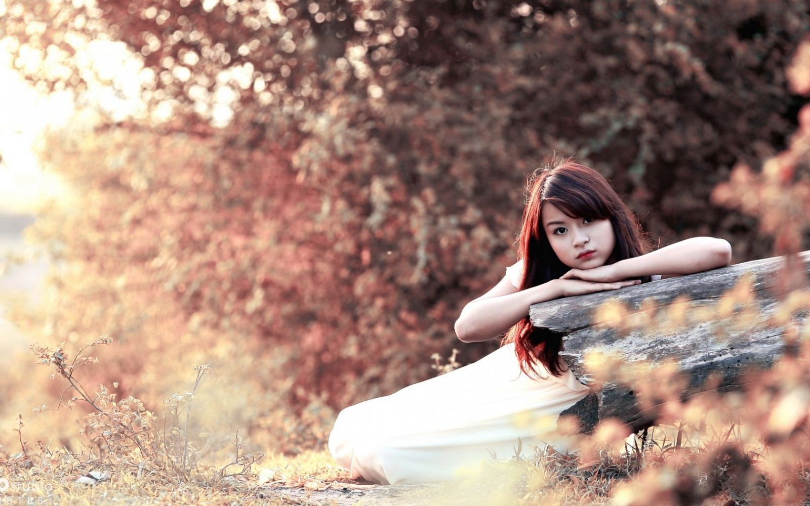 sollys, Kvinder udendørs, Kvinder, model, klippe, brunette, asiatisk, fotografering, bokeh, emotion, forår, romantik, efterår, blomst, pige, skønhed, sæson, kvinde, dame, brud, fotografi, billede, portrætfotografering, Photo shoot