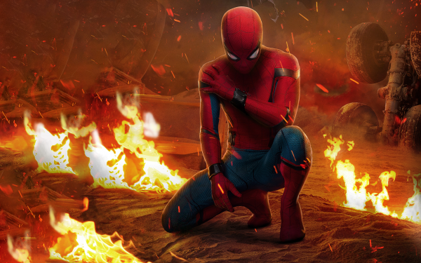 Spider Man Homecoming 2017,Marvel Cinematic Universe,Spider Man