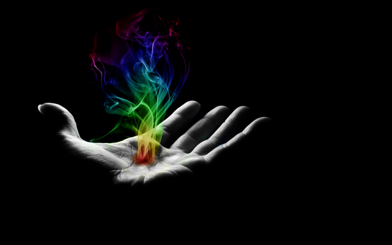flower, bird, flame, digital art, hand, darkness flower, bird, flame, digital art, hand, darkness
