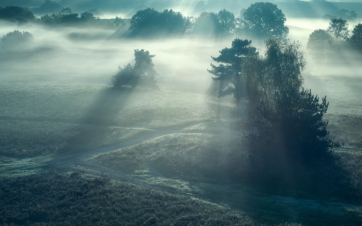 slunečnímu záření, stromy, krajina, moře, kopec, Příroda, tráva, nebe, pole, svítání, modrý, ráno, mlha, horizont, atmosféra, opar, mrak, mlha, hora, počasí, svítání, oceán, vlna, atmosférický jev, Atmosféra Země, mořská vlna