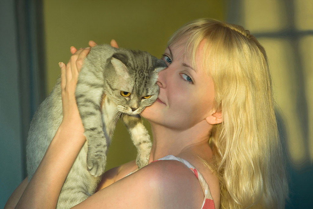 cara, gato, piel, mamífero, vertebrado, Color del pelo humano, nariz, Gatos pequeños a medianos, ojo, niña, gatito, rubio, Gato como mamífero, Organo, divertido, Iris, sonreír, Carnívoro, bigotes