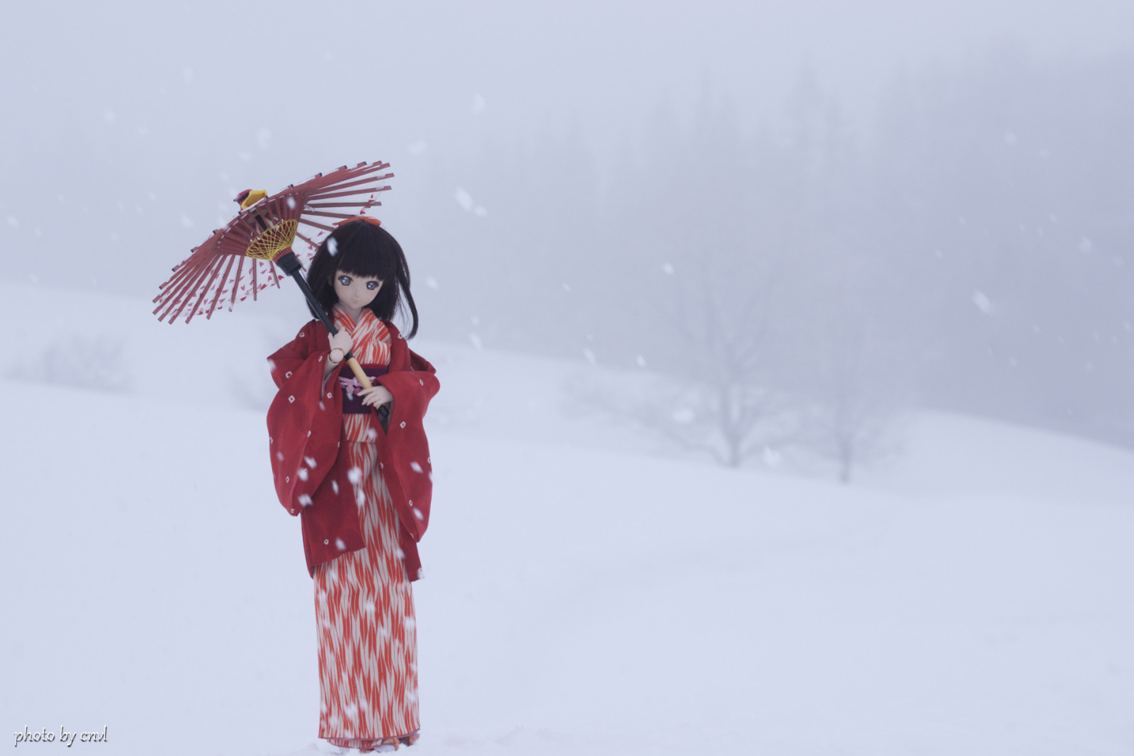 paesaggio, natura, cielo, la neve, inverno, Sony, chimono, Congelamento, albero, bufera di neve, Yuki, Dollfie, Volks, dollfiedream, dd, tempesta invernale, 900, a900, SAL70300G, Morikawa, Cnvl
