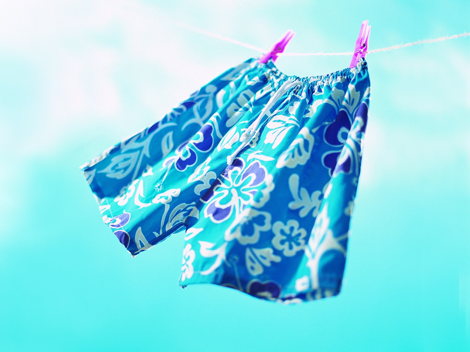 pantalones cortos, patrones, cuerda, Pinzas de ropa