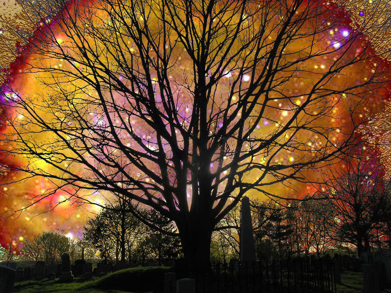 slunečnímu záření, stromy, krajina, kontrast, barvitý, Photoshop, temný, květiny, noc, Příroda, milovat, nebe, strašidelný, hvězdy, pláž, větev, Fotoaparát, večer, ráno, růže, letní, Spojené státy americké, duch, Arizona, vesmír, jaro, Google, čerstvý, Můj prostor, Olympus, Psycho, YAHOO, oblíbený, C1, strom, podzim, list, zoom, flickr, skvělý, Amerika, rostlina, fotografie, oceán, osvětlení, cars, oslava, zábava, hřbitov, super, Skřivan, olympijský, nejlepší, obraz, obrázek, abigfave, flickrdiamond, Jan, většina, flickrsbest, 08, supershot, konec světa, prezident, hmota, Severní polární záře, počítač tapeta, dřevina, opadavý, javor, jinan dvoulaločný, diamondclassphotographe, picasa, j1, šlehané, Barack, psdtuts, lepší, republikán, demokrat, růže květina, saturovat, zlepšit, Hillary, létající auta, temná hmota, klapot, Světla, Galexie, Edgeofuniverse, Treeedge