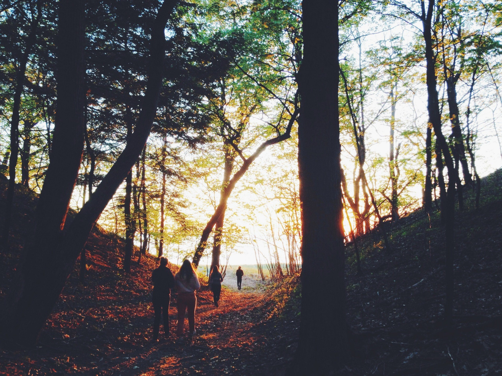 1920x1440 px, otoño, paisaje, naturaleza, cielo, Árboles, Mujeres al aire libre
